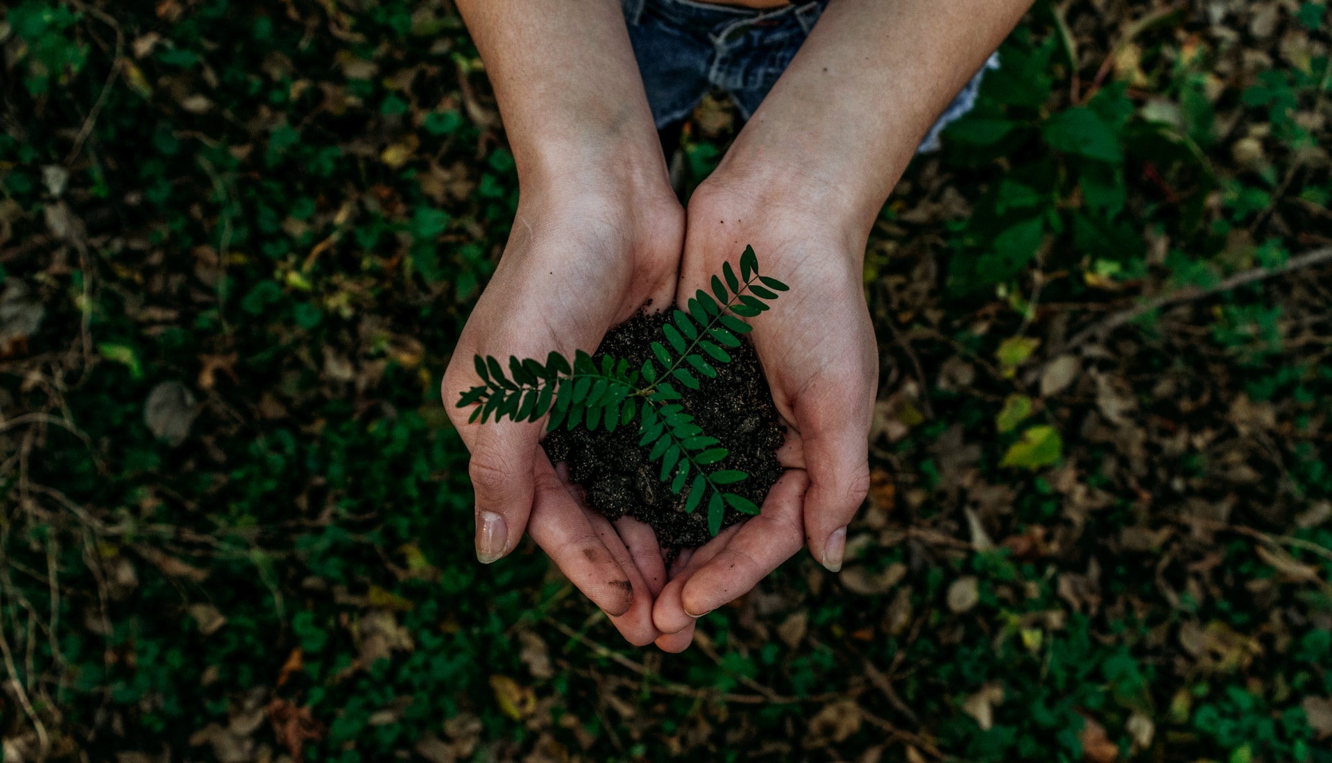 green-it